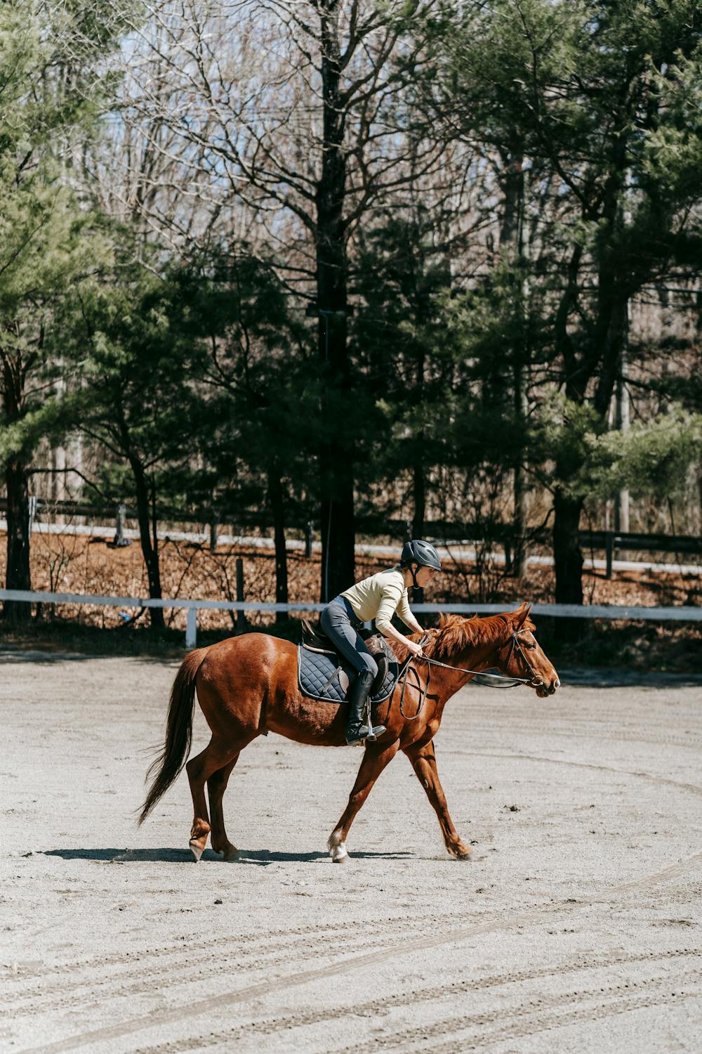 Person Learning Horseback Riding · Free Stock Photo