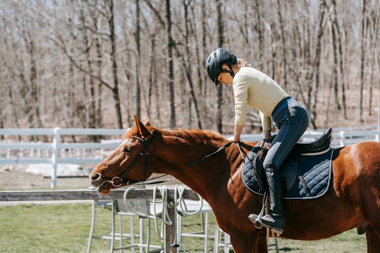 Woman Sitting On Horse