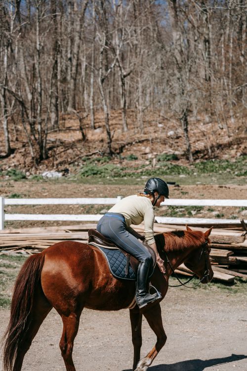 Free Person riding a brown horse outdoors in a rustic countryside setting. Stock Photo