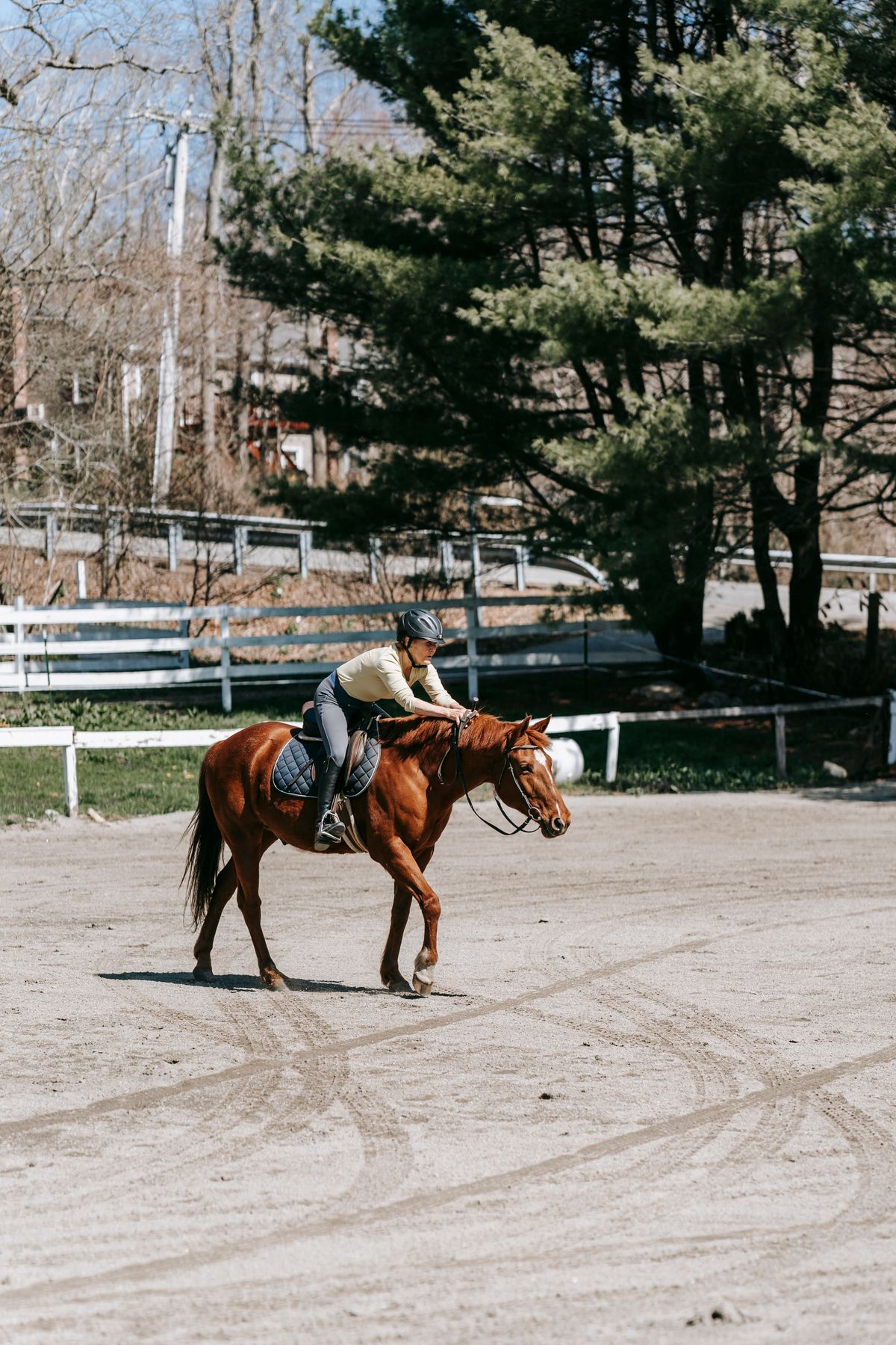 Amazona con casco y ropa de equitación montando a caballo