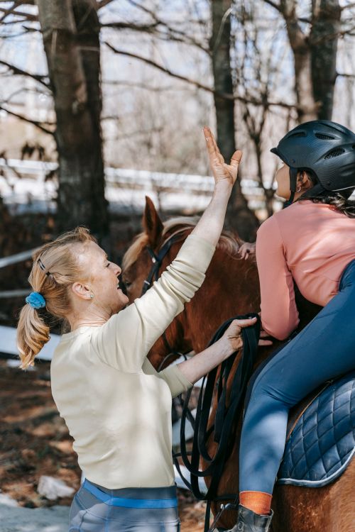 Free A woman teaching a child horseback riding in a sunny outdoor setting. Stock Photo