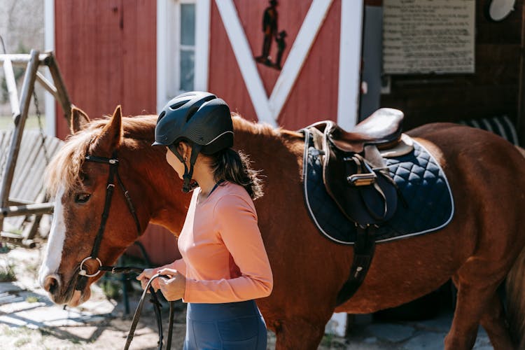 Woman In Helmet With Horse