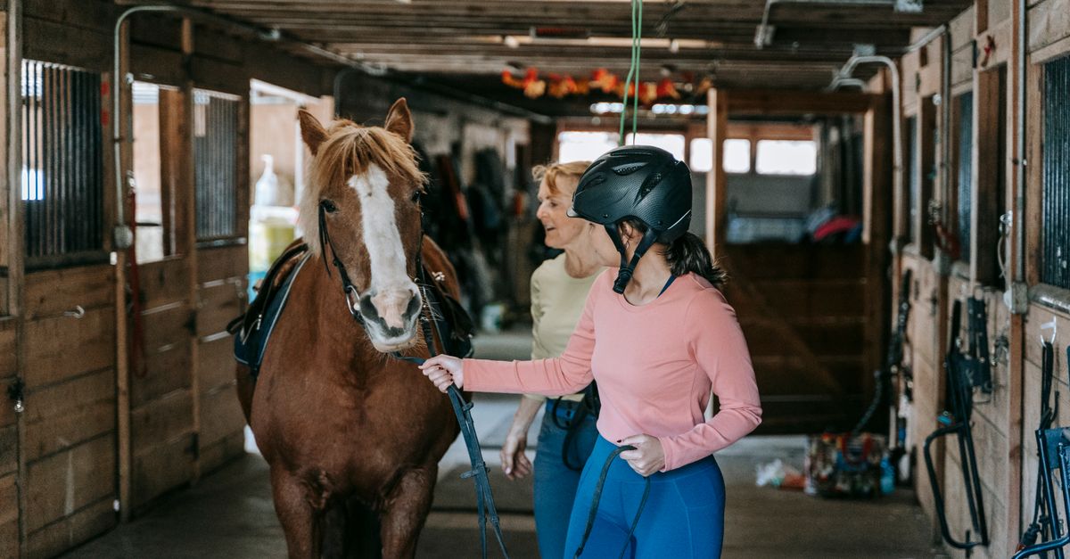 Judith Innes Riding Stable Girl Wearing an Equestrian Helmet Guiding a Horse Out of the Stable ...