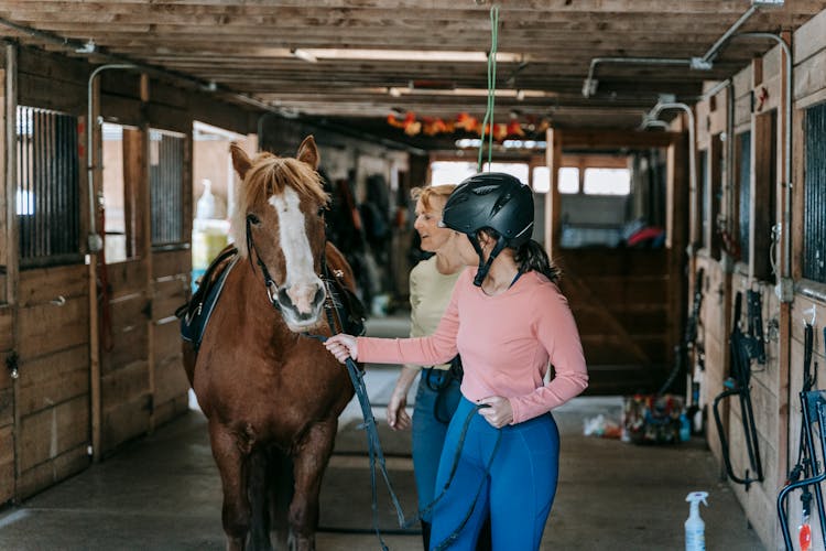 Girl Wearing An Equestrian Helmet Guiding A Horse Out Of The Stable