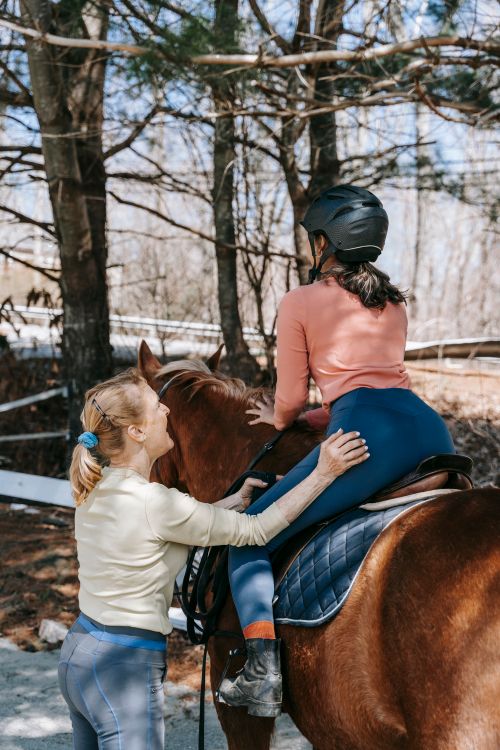 Free A woman helps a young girl on a horse, wearing equestrian gear in a forest setting. Stock Photo