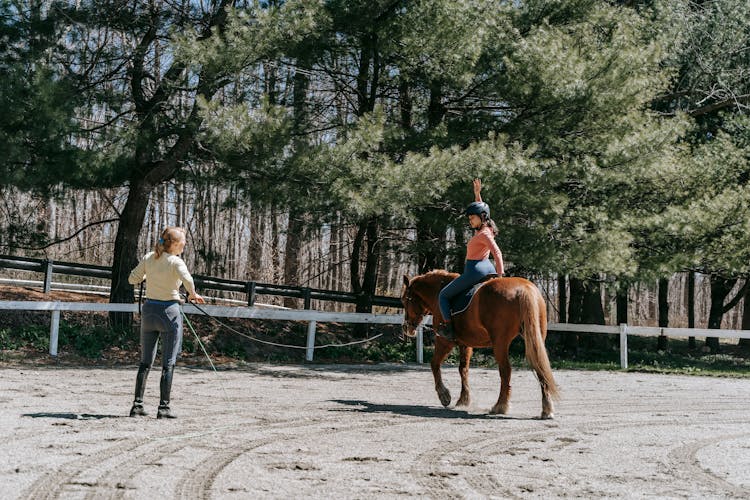 Teaching Horseback Riding