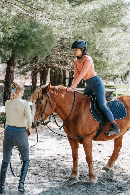 Free Woman learning horseback riding with instructor in a forest setting. Clear day outdoors. Stock Photo