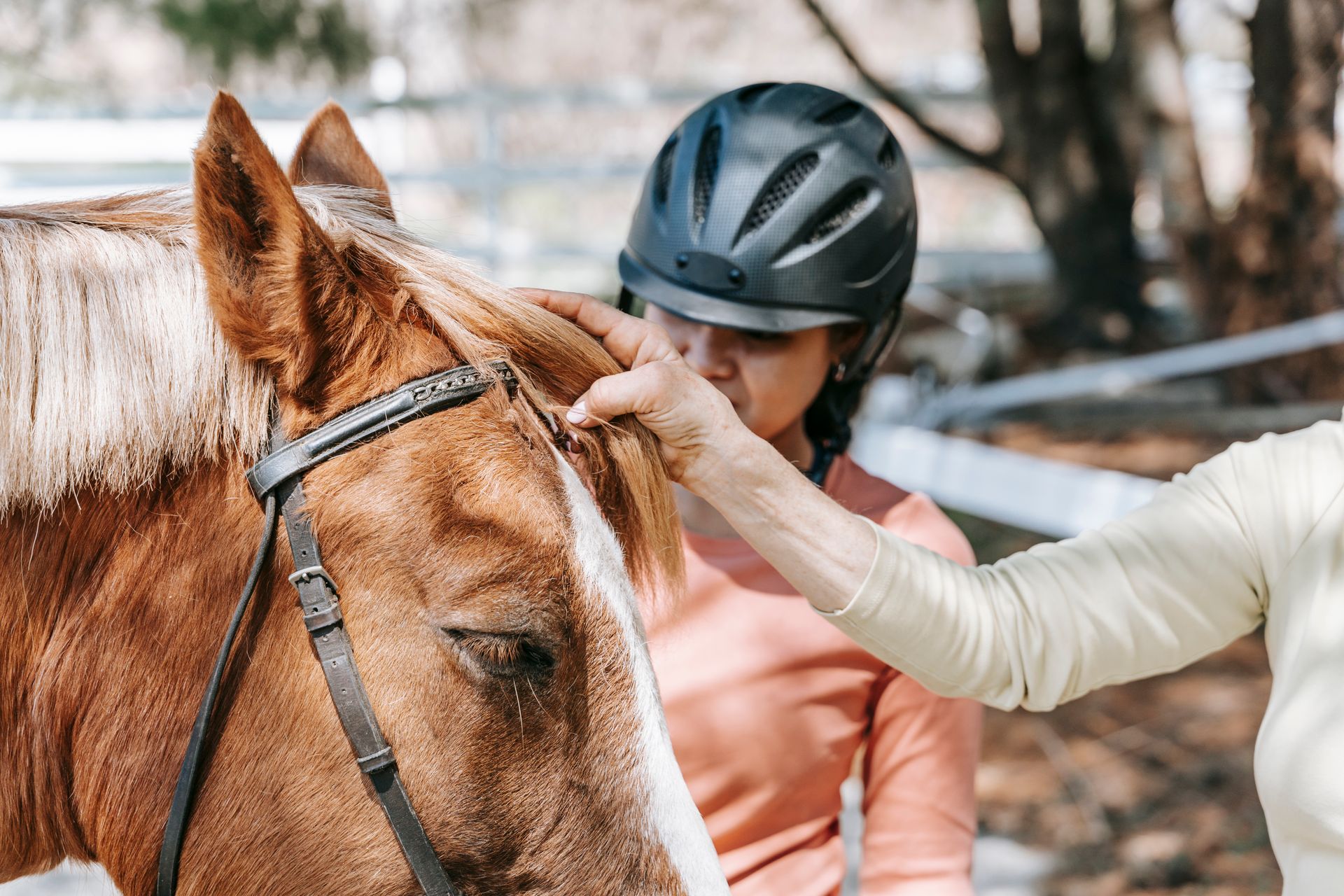 Woman and Girl Grooming Horse