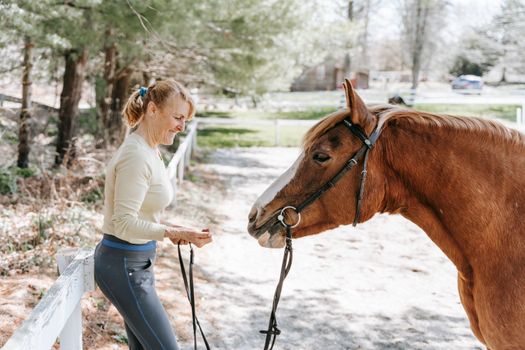 Free stock photo of active, cavalry, child