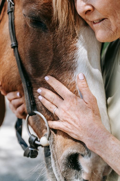 Free A serene close-up of a woman gently caressing a horse, symbolizing peace and connection. Stock Photo