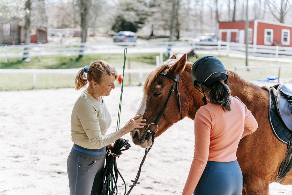 Duas mulheres cuidam de um cavalo em um estábulo ao ar livre em um dia ensolarado.