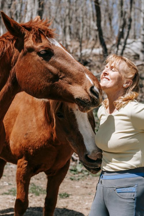 Free A joyful woman interacts with a horse in a sunny outdoor setting. Stock Photo