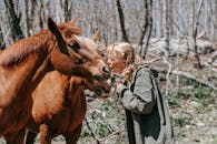 Free stock photo of adult, cavalry, child