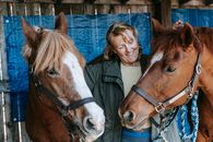 Free stock photo of animal, barn, bridle