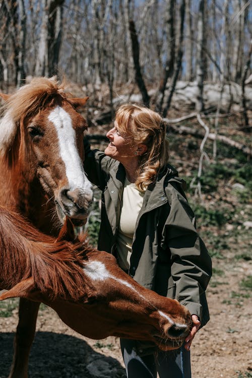 A Horse Licking the Woman's Hand