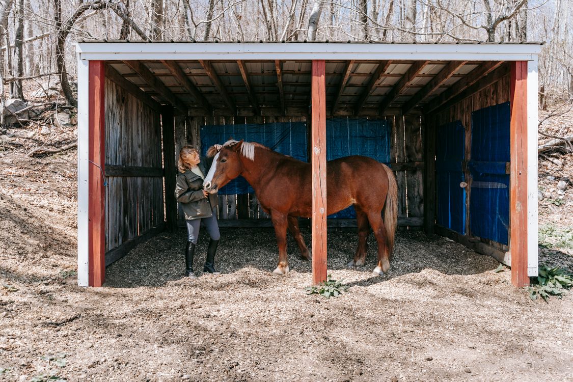 Woman and Horse Inside the Stable · Free Stock Photo