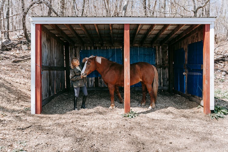 Woman And Horse Inside The Stable 