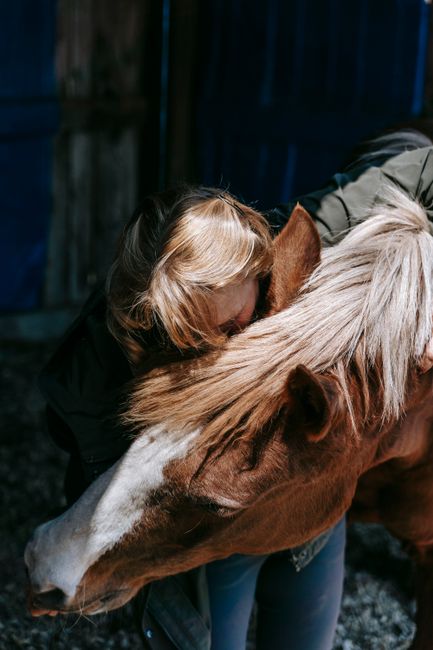 A woman lovingly hugs a chestnut horse inside a barn, showcasing a bond with nature.