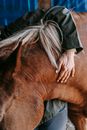 Person in Black Leather Jacket Holding Brown Horse