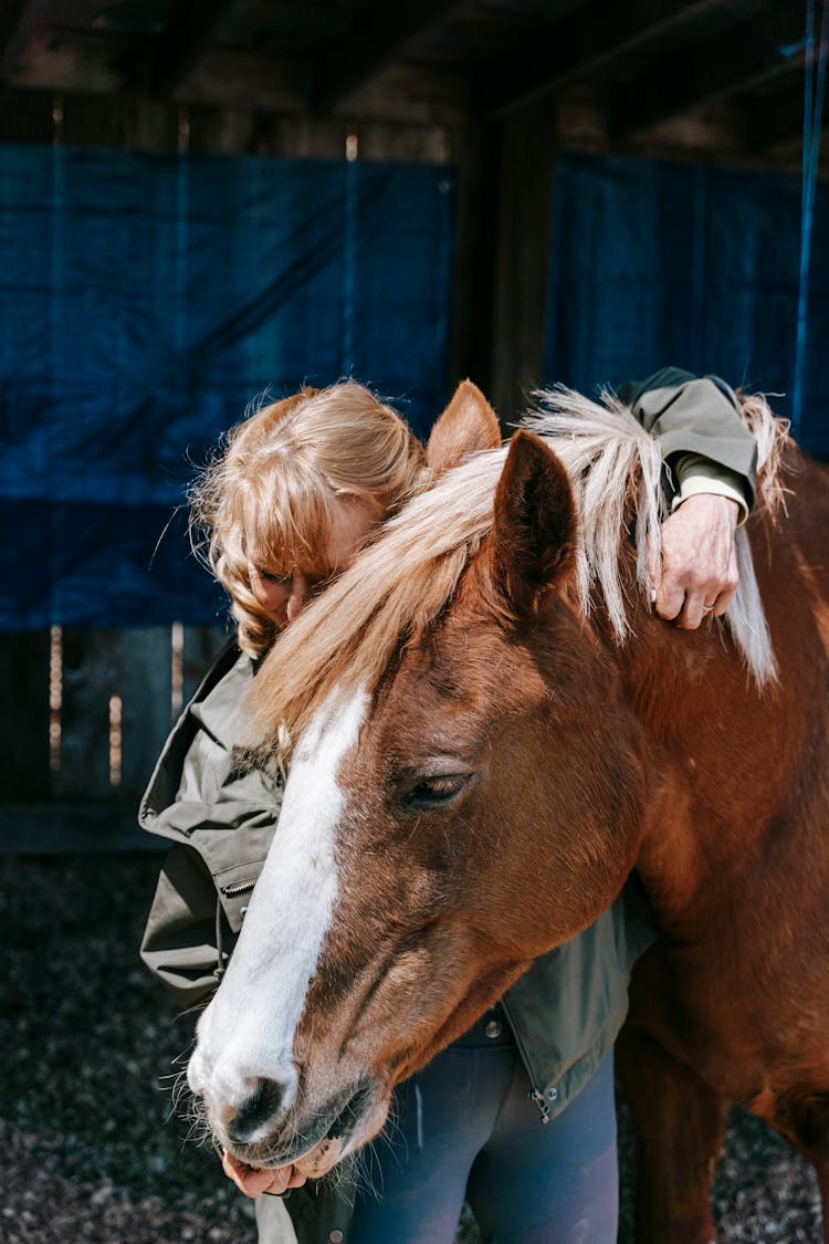 Blonde Person Hugging The Brown Horse 