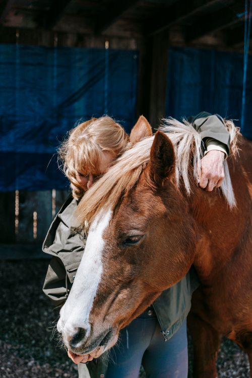Free A woman affectionately hugging a horse inside a stable, conveying warmth and connection. Stock Photo