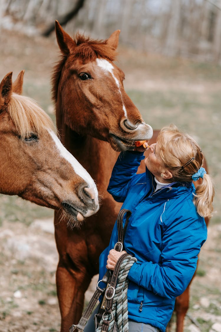 A Woman Feeding Her Horses