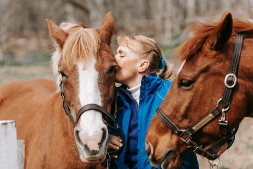 Free A woman lovingly kisses a horse on a sunny day, surrounded by nature. Stock Photo