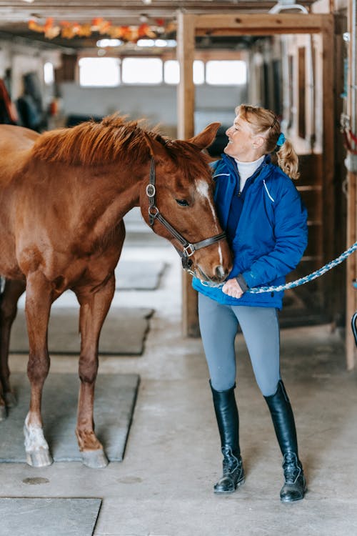 Δωρεάν στοκ φωτογραφιών με άλογο, γυναίκα, ζώνη ασφαλείας