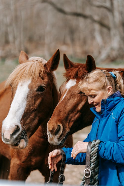 Woman in Blue Jacket Standing Beside Two Brown Horses