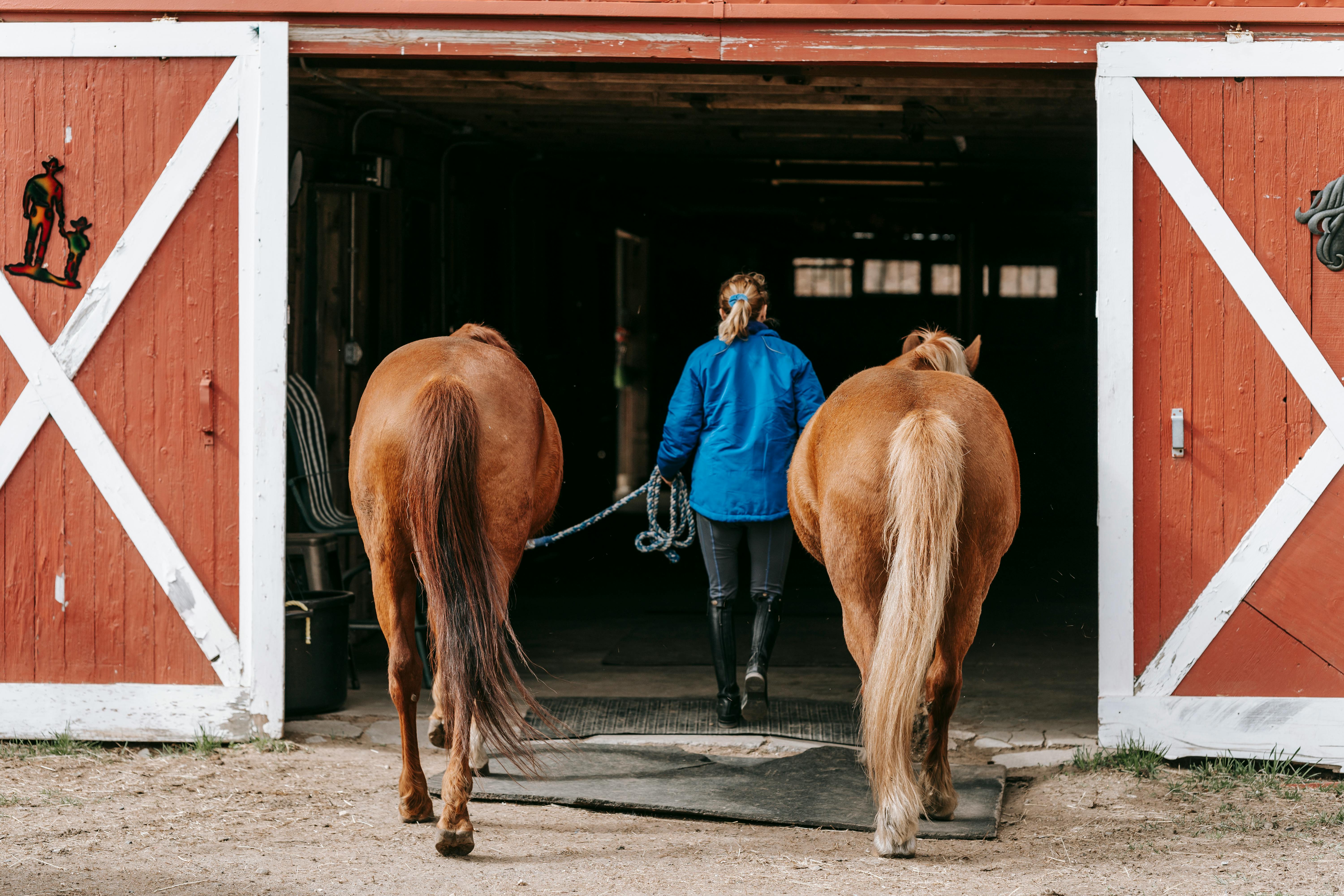 Paradise Country Farmstay