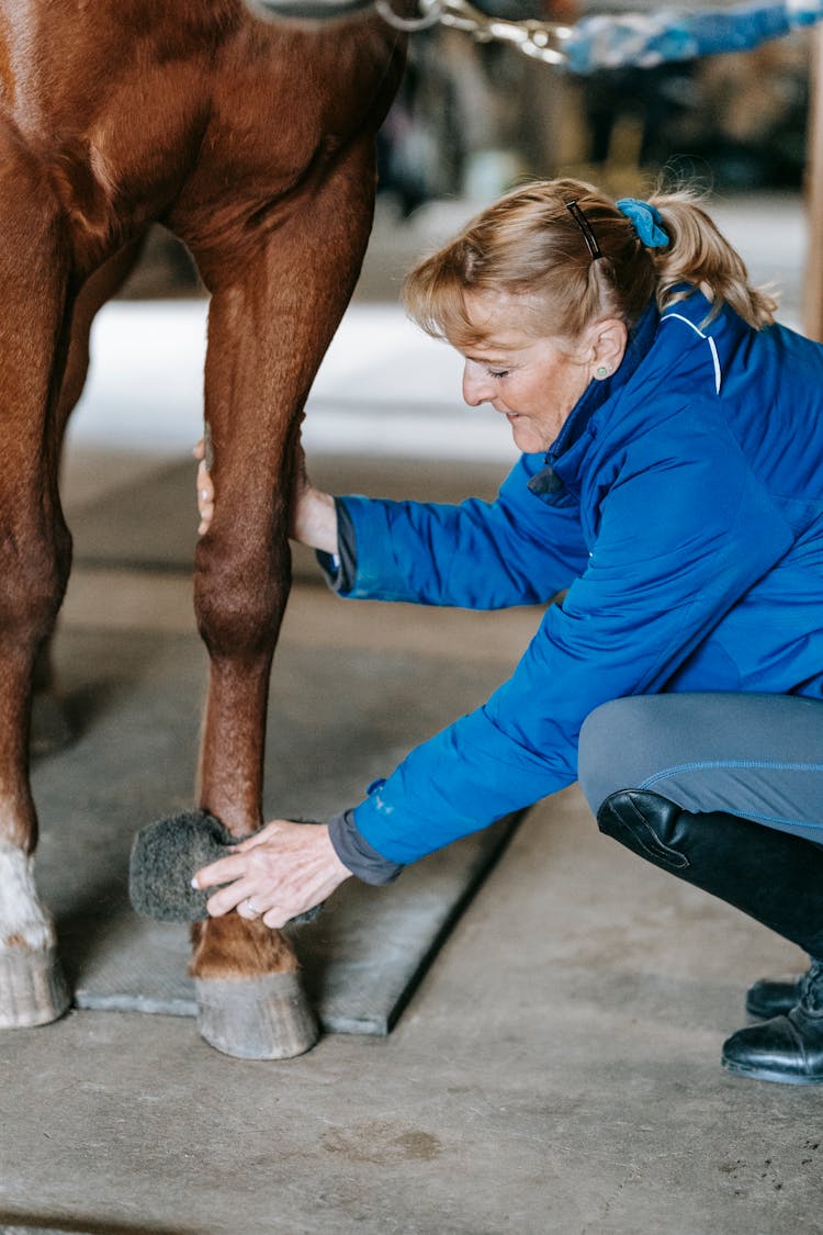 Woman Cleaning Horse Hoof