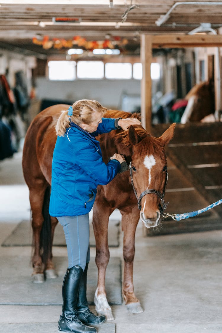 Woman Cuddling A Brown Horse