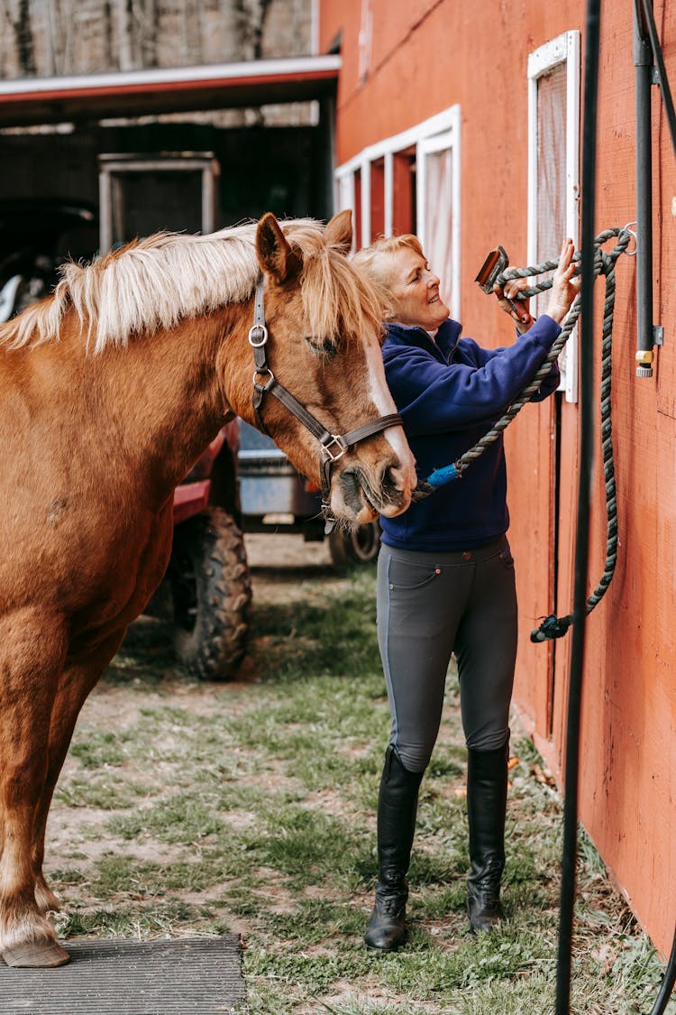 Woman Tying A Rope Beside A Brown Horse