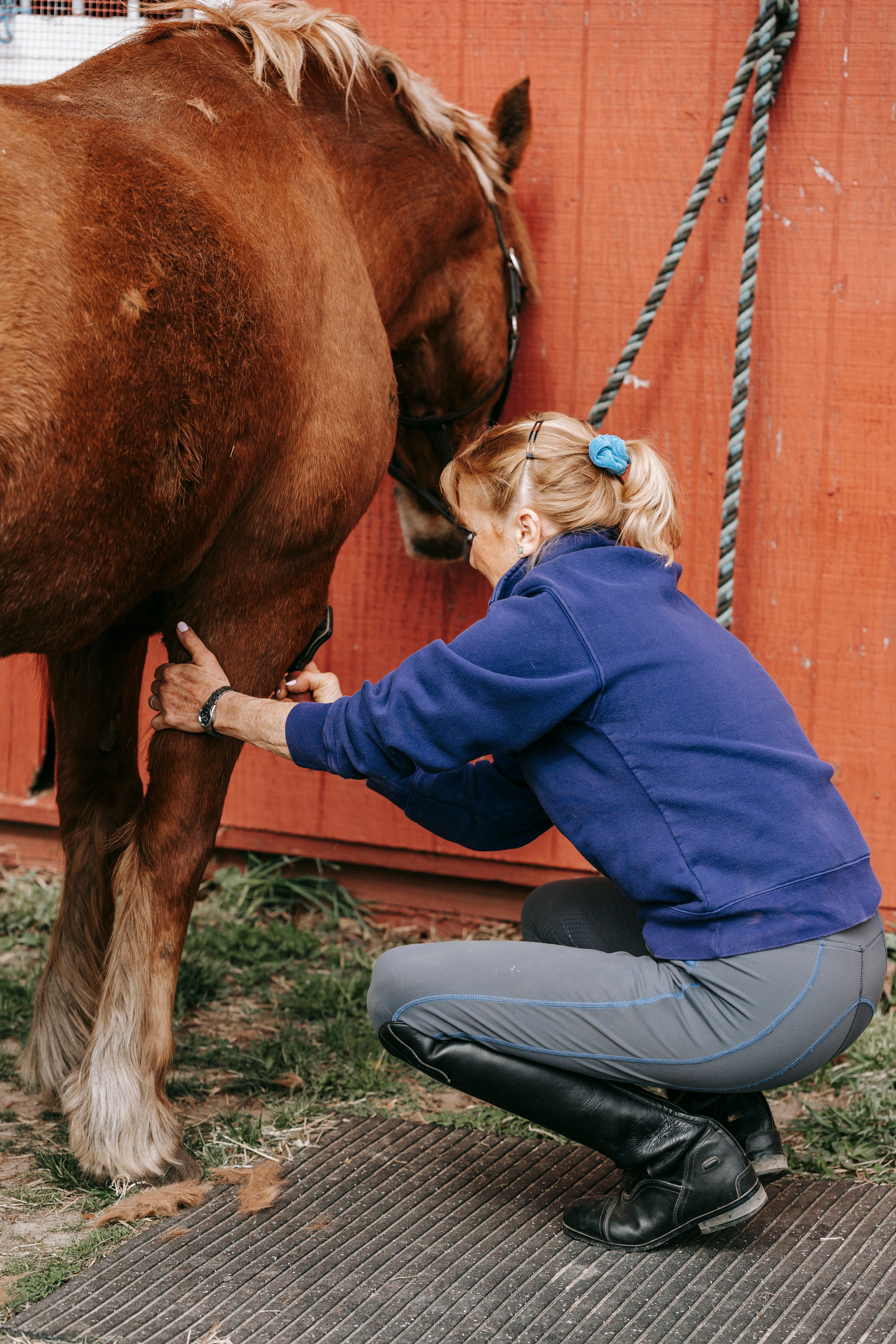 Woman Cleaning out Stables · Free Stock Photo