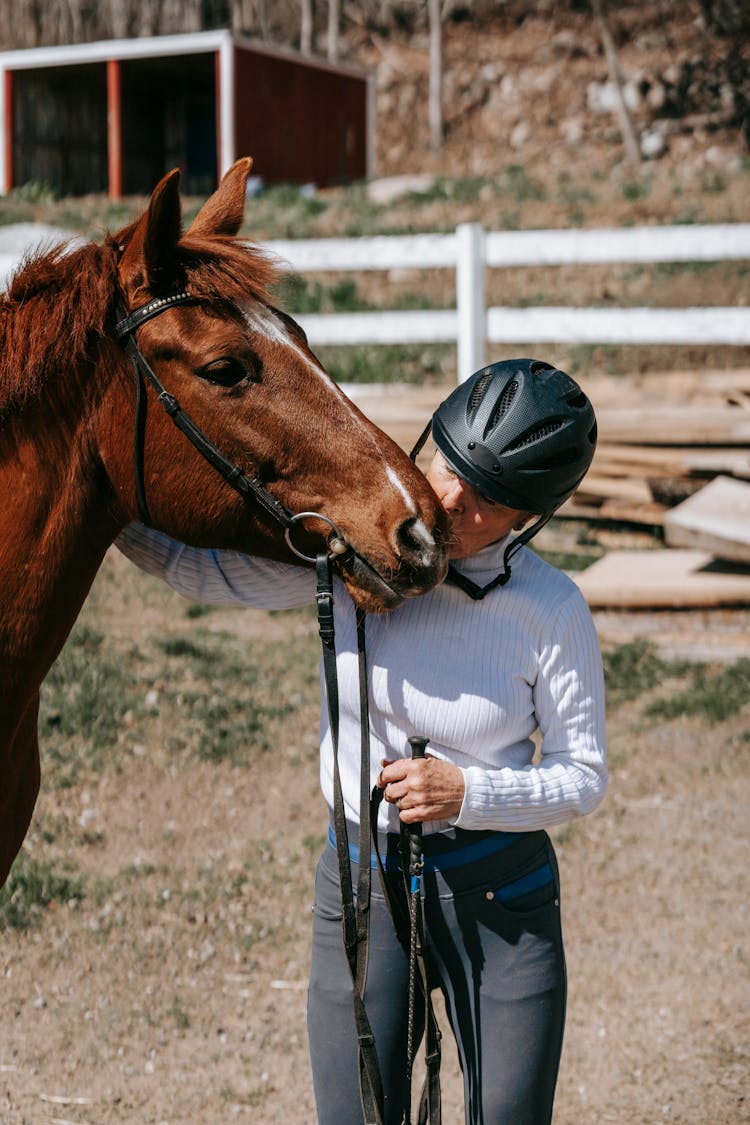 Person Wearing Riding Helmet Holding A Horse