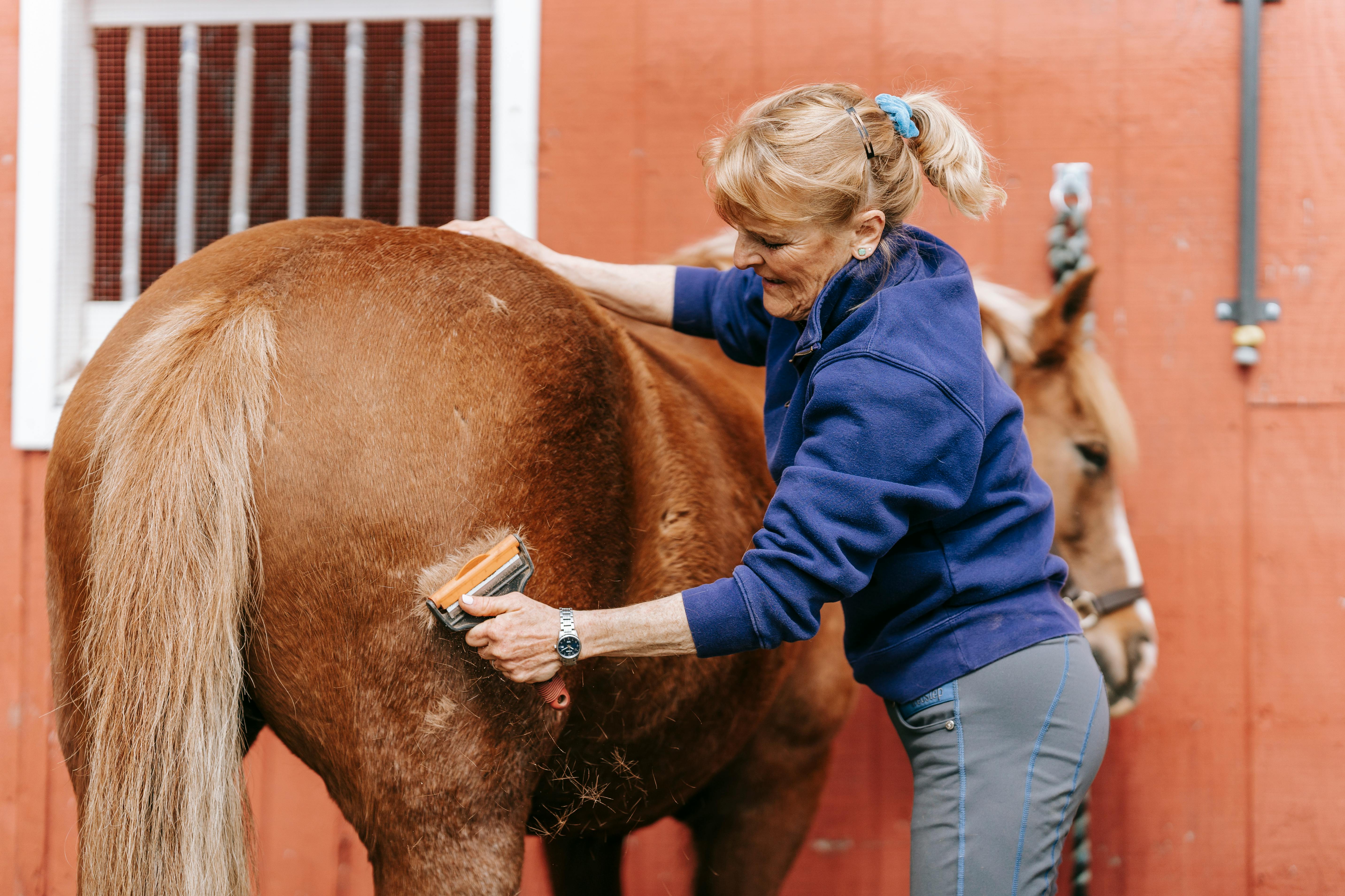 woman cleaning horse