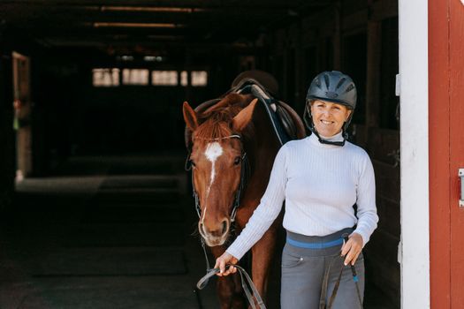 Free stock photo of adult, cavalry, horse