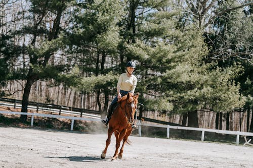 Free Woman Riding Horse Stock Photo