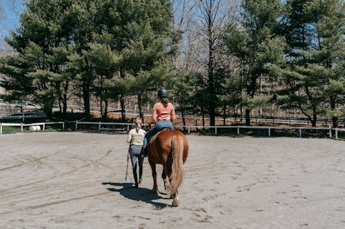 Horseback Riding Lesson