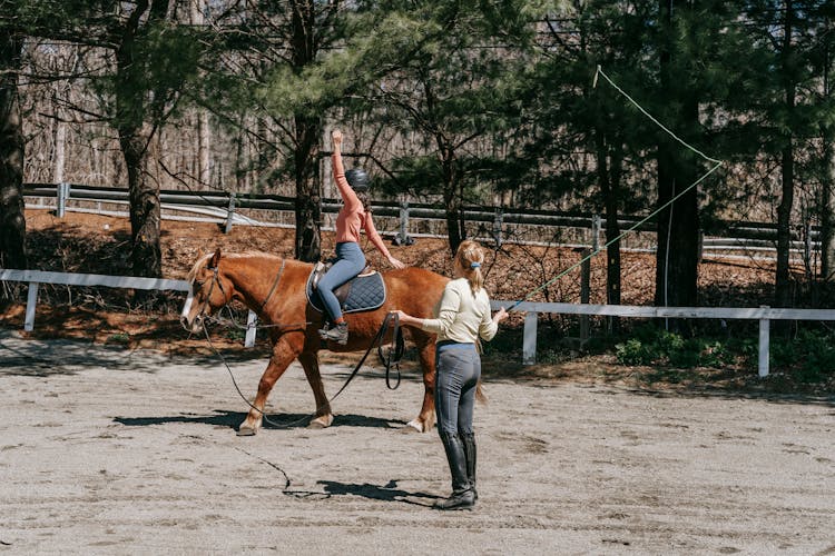 Woman During Horseback Riding Lesson