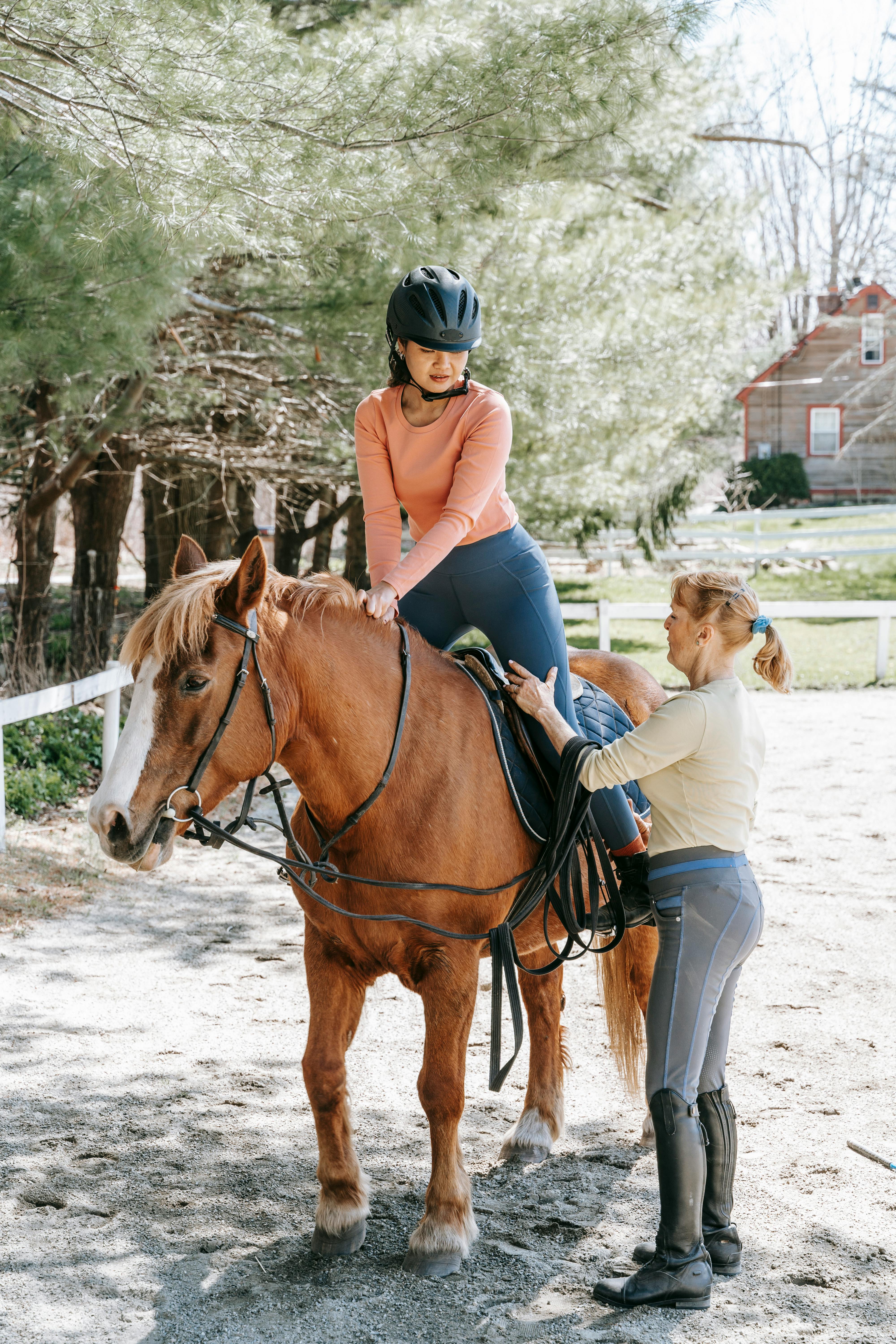 Teaching Horseback Riding · Free Stock Photo