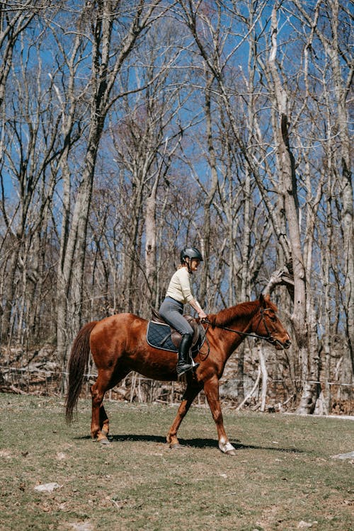Free A Person Riding a Horse Stock Photo