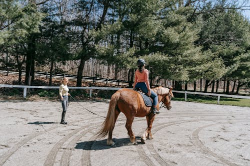 Riding Instructor Teaching Woman with a Horse