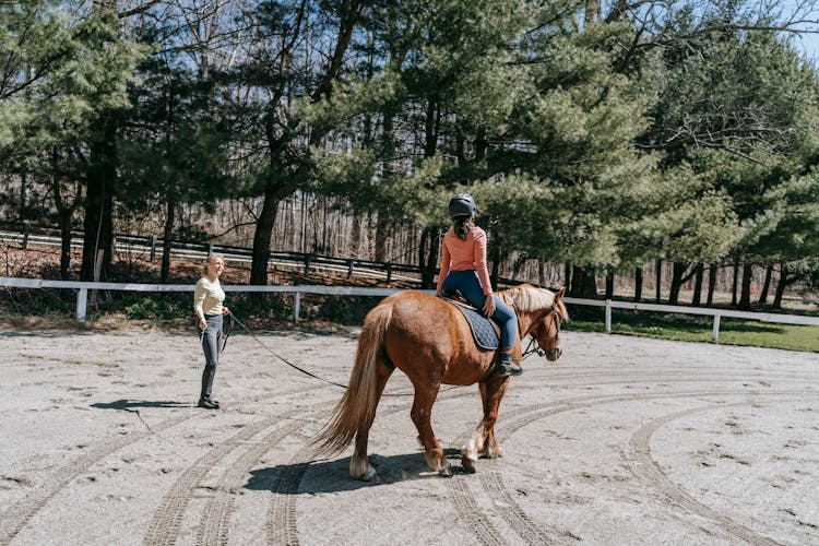 Riding Instructor Teaching Woman With A Horse