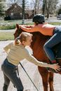 Free stock photo of adult, cavalry, equestrian