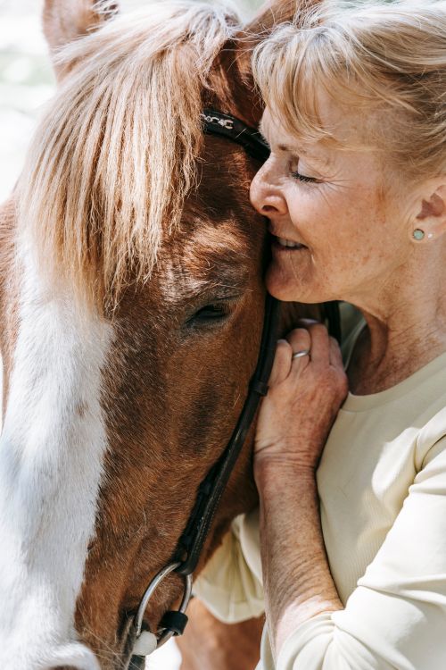 Free A senior woman lovingly embraces a horse, showcasing warmth and connection in a bright outdoor setting. Stock Photo