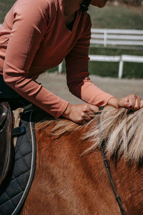 Person Holding the Mane of a Horse