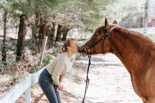 A Woman Kissing a Brown Horse