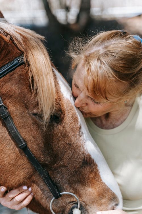 Free A loving moment captured between a woman and her horse, showcasing tenderness and connection in an outdoor setting. Stock Photo