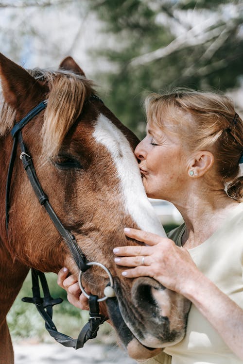 Free stock photo of affection, cavalry, child